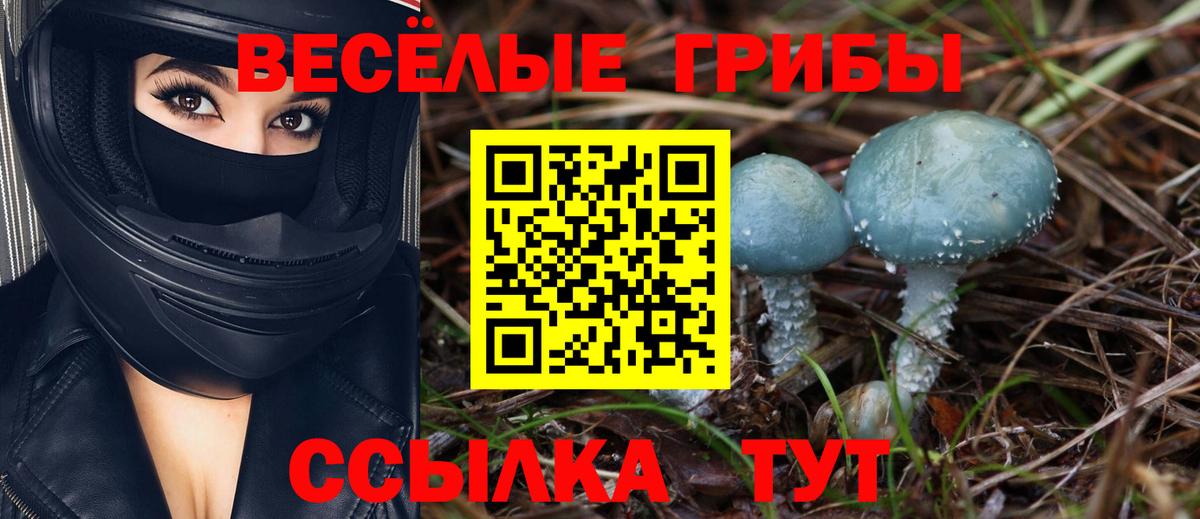 Москва  Галлюциногенные грибы прущие грибы  Вход с VPN 