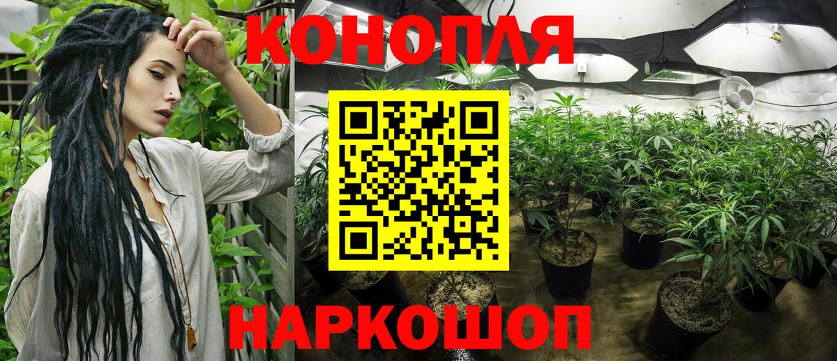 Москва  Шишки марихуана планчик  Канабис индика  Вход с VPN 